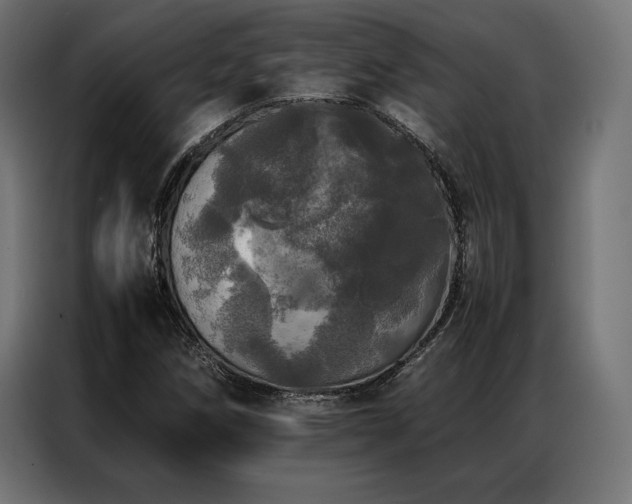 X0000087021258200704161555