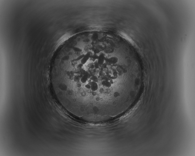 X0000087021259200704161555