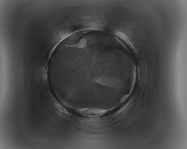 X0000087021260200704161555
