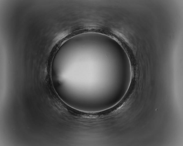 X0000087021261200704161555