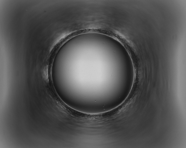 X0000087021262200704161555