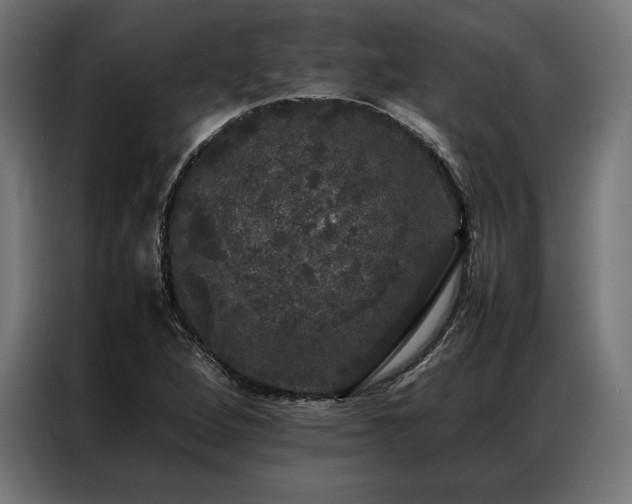 X0000087021264200704161555