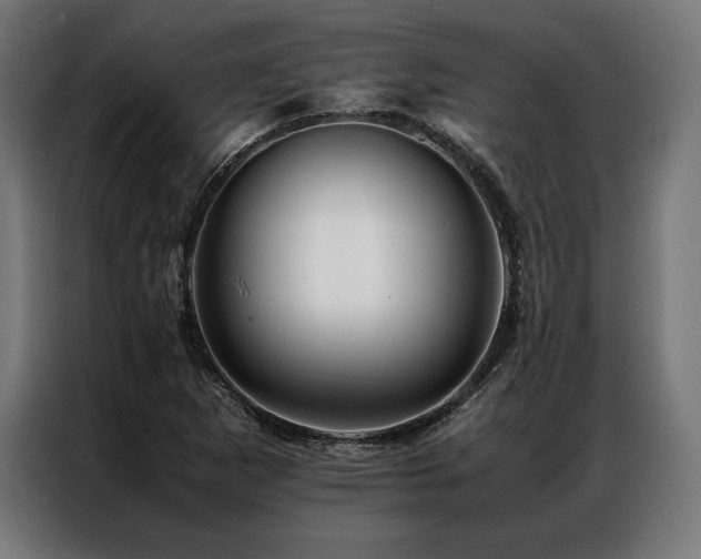 X0000087021265200704161555