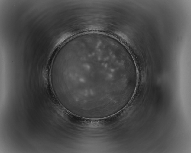 X0000087021266200704161555