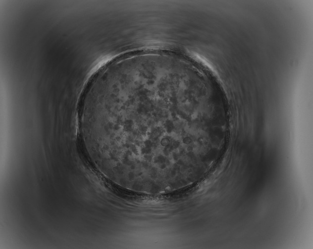 X0000087021267200704161555
