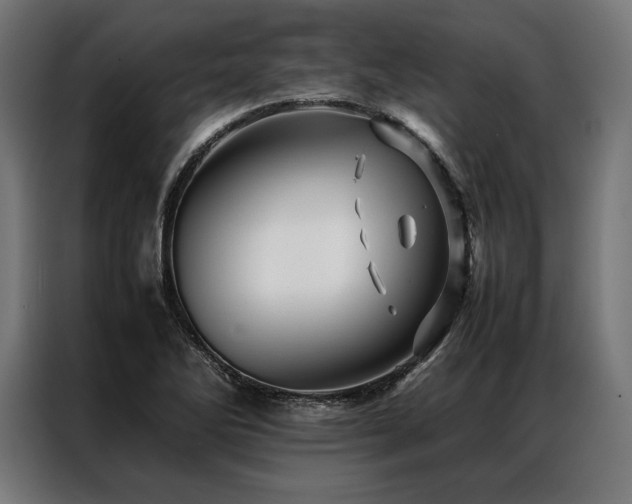 X0000087021270200704161555