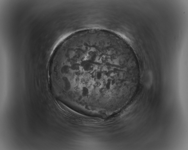 X0000087021271200704161555