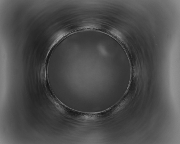 X0000087021274200704161555