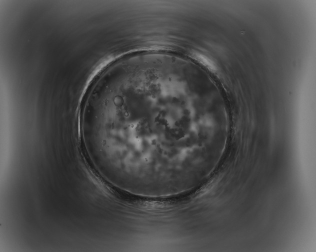 X0000087021275200704161555
