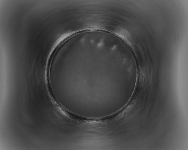 X0000087021278200704161554