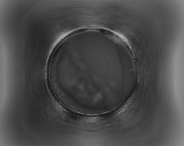X0000087021279200704161554