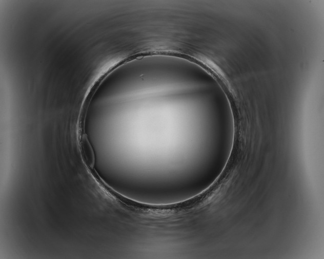X0000087021285200704161554