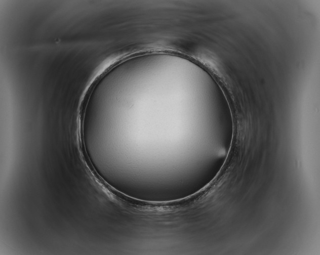 X0000087021286200704161554