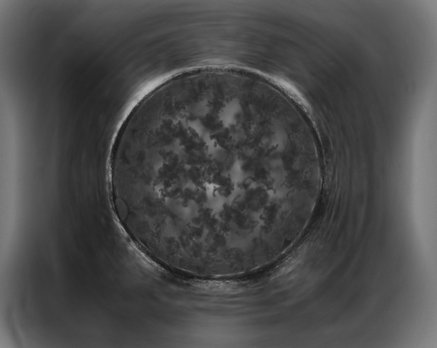 X0000087021287200704161554