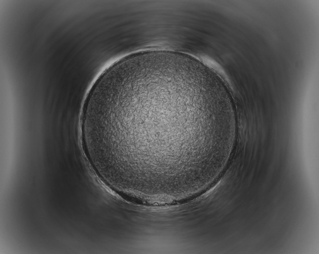 X0000087021288200704161554