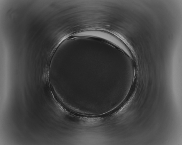 X0000087021289200704161554