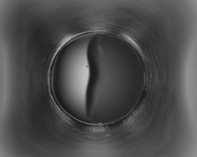 X0000087021291200704161554
