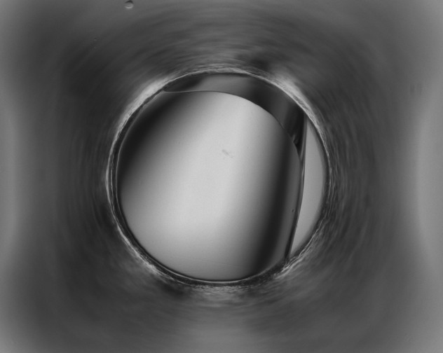 X0000087021293200704161554