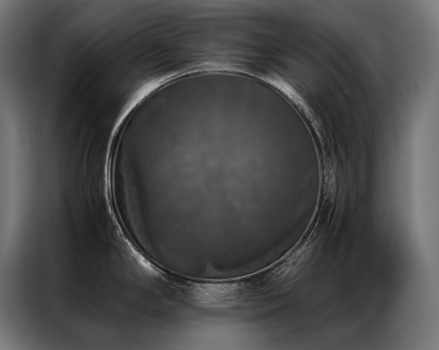 X0000087021294200704161554