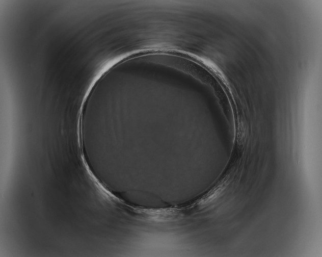 X0000087021295200704161554