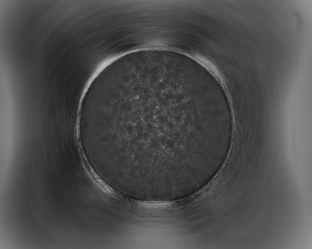 X0000087021296200704161554