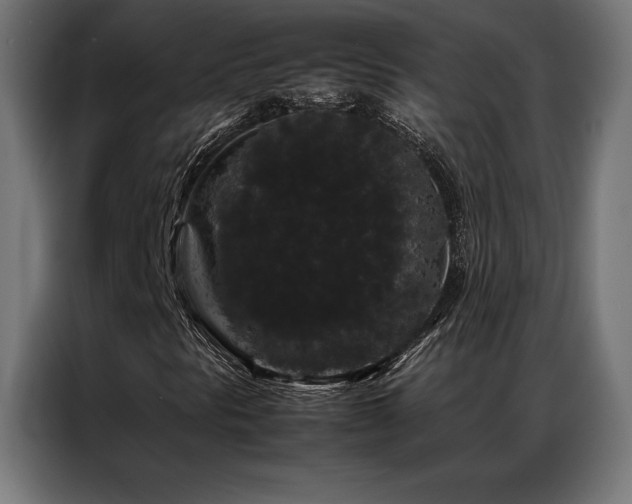 X0000087021297200704161554