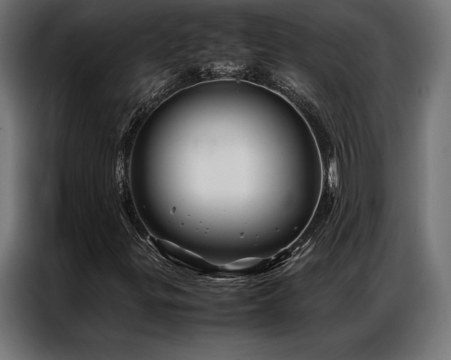 X0000087021299200704161554