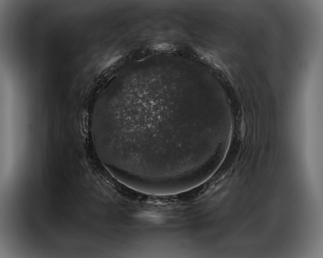 X0000087021301200704161554