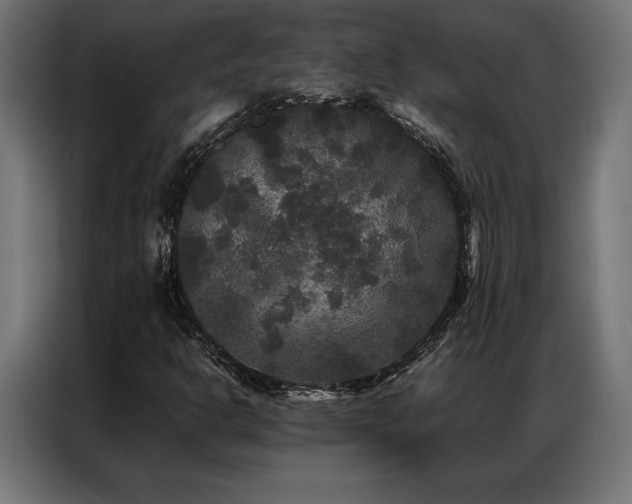 X0000087021302200704161554