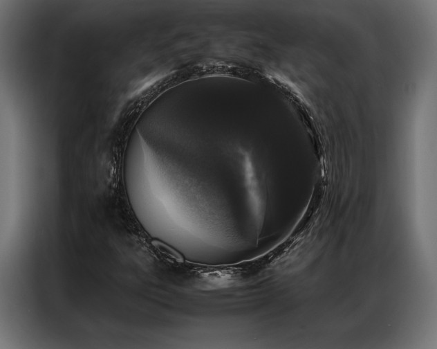 X0000087021303200704161554