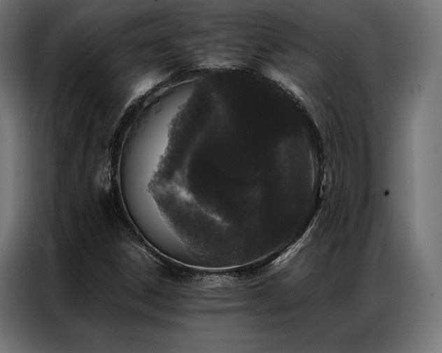 X0000087021306200704161554