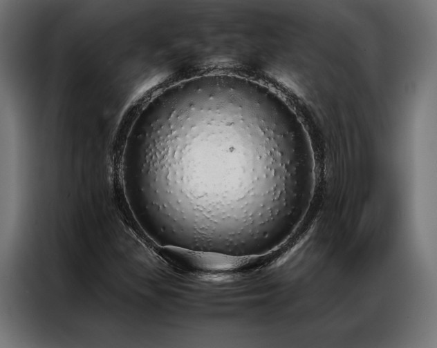 X0000087021309200704161554