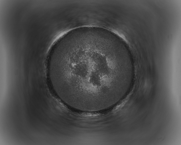 X0000087021311200704161554