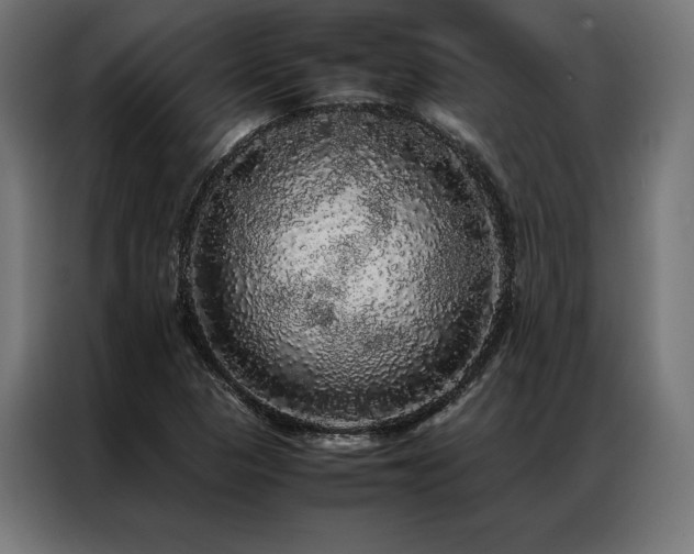 X0000087021313200704161554