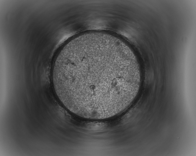 X0000087021314200704161554