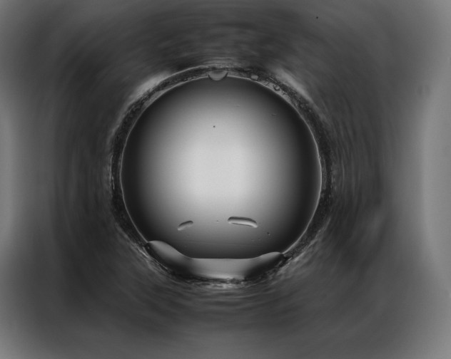 X0000087021315200704161554