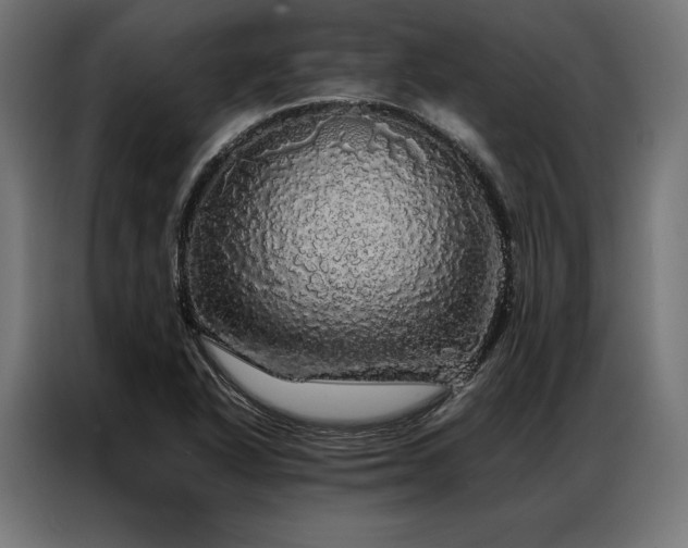 X0000087021318200704161554