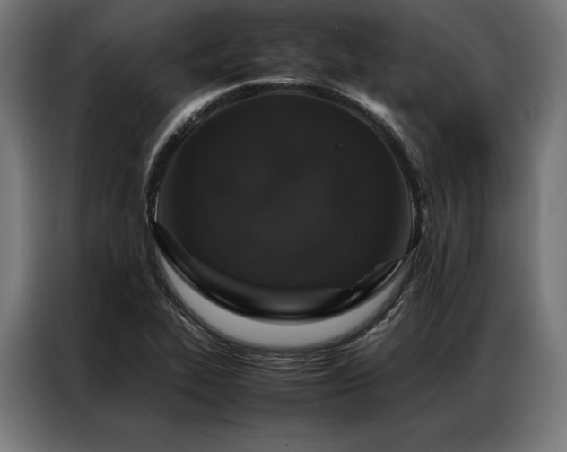 X0000087021319200704161554