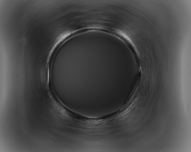 X0000087021323200704161554