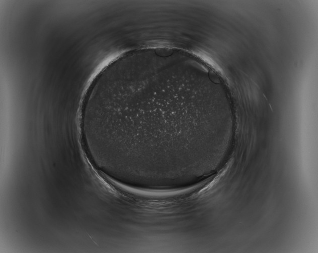 X0000087021325200704161554