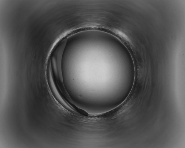 X0000087021326200704161554