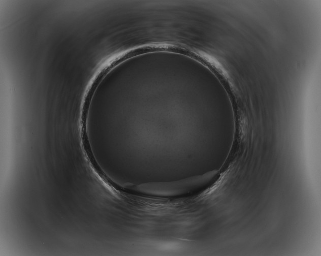 X0000087021327200704161554