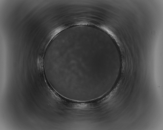 X0000087021329200704161554