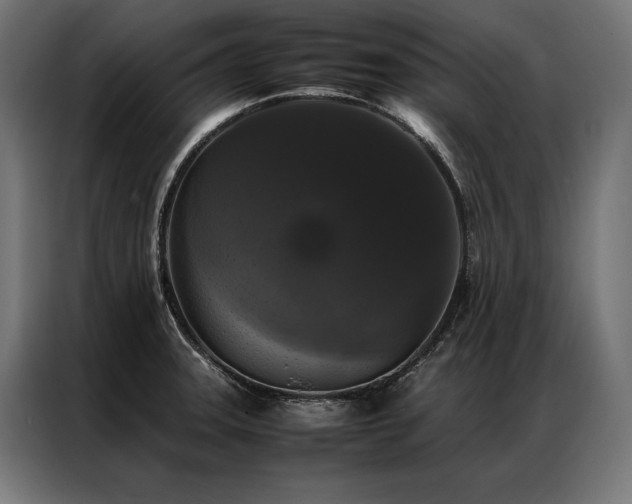 X0000087021331200704161554