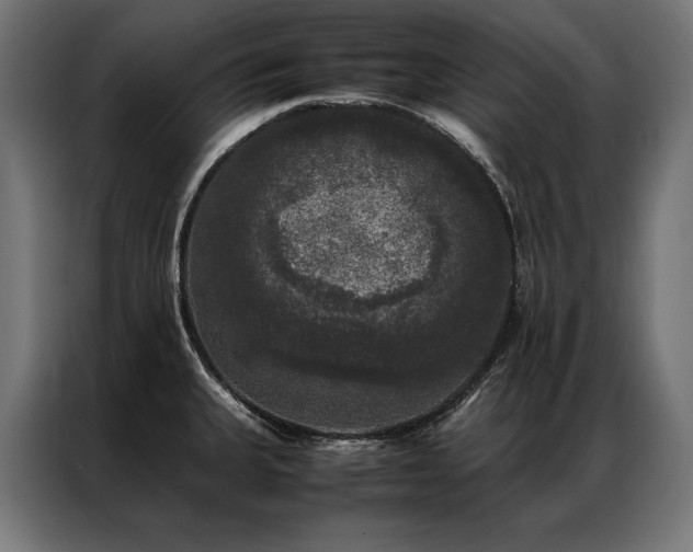 X0000087021335200704161554