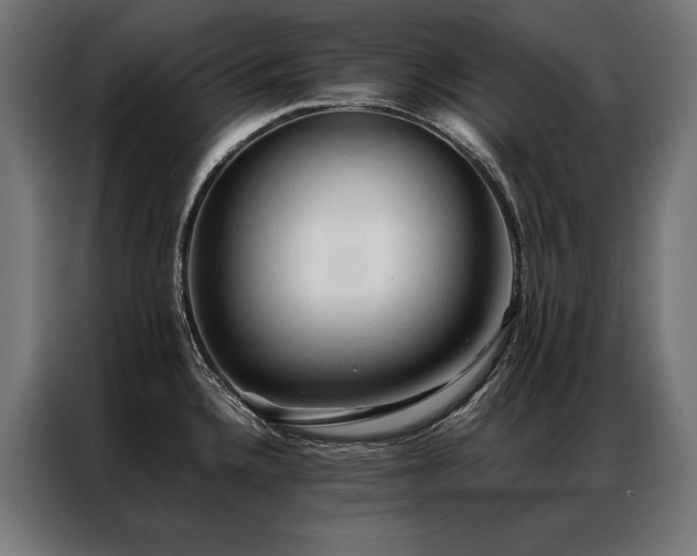 X0000087021336200704161554