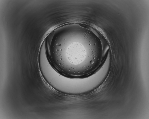 X0000087021338200704161554