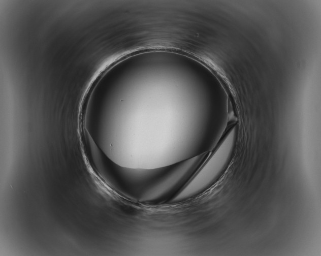 X0000087021342200704161554