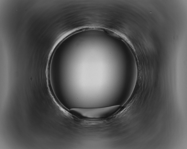 X0000087021343200704161554