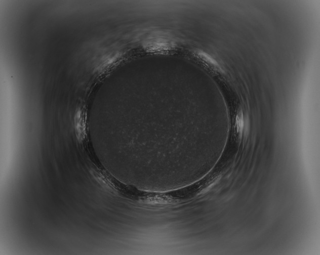 X0000087021348200704161554